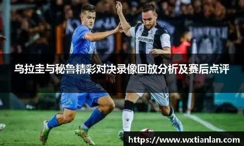 新利体育官网