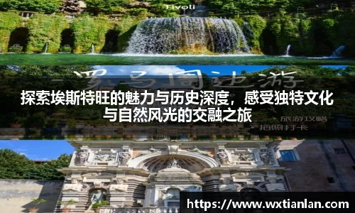 新利体育官网